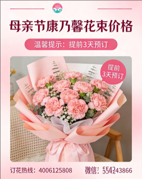 北京西城区花店母亲节康乃馨花束