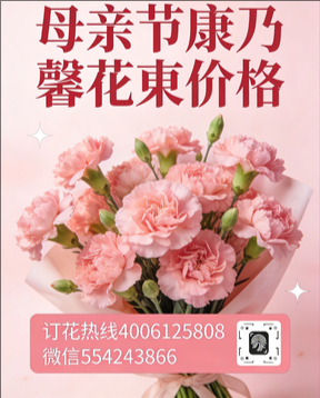 北京西城区花店母亲节康乃馨花束
